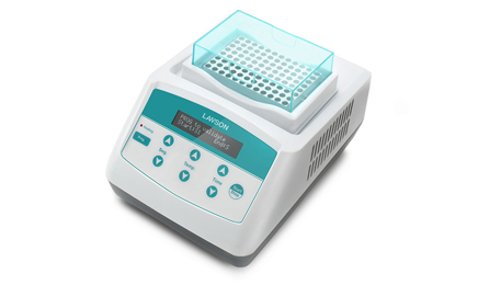 Constant temperature metal bath